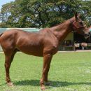Josefina