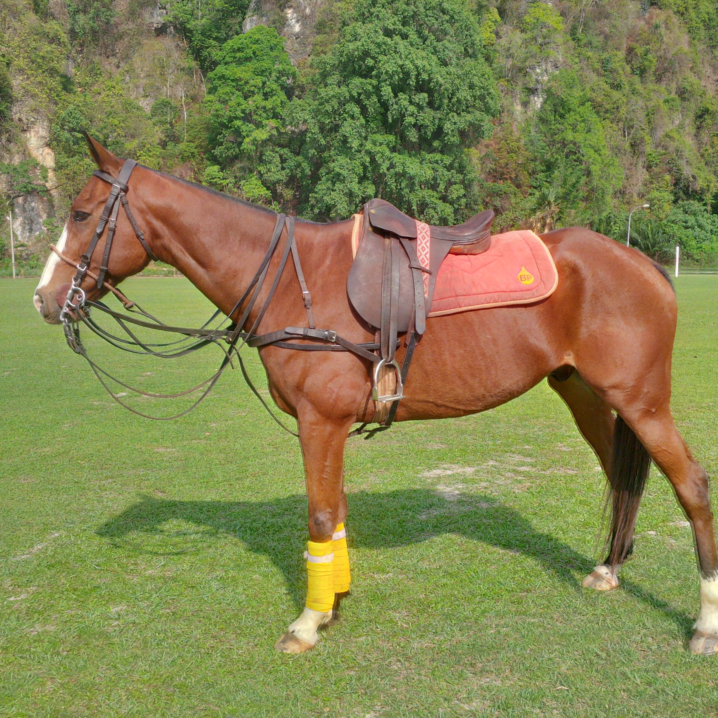 Gurero