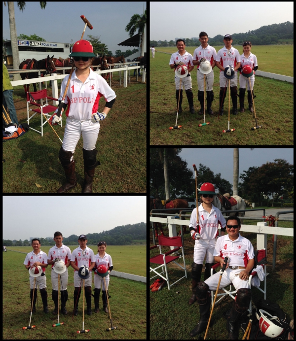 bp_polo2014